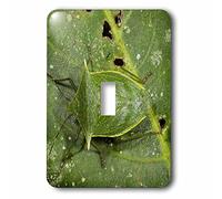 3dRose lsp_86407_1 Shield Bug Insect, Napo River, Yasuni Np, Ecuador Sa07 Pox2057 Pete Oxford interruptor de palanca individual