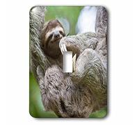 3dRose lsp_87172_1 Brownthroated Sloth Wildlife, Corcovado Costa Rica Sa22 Jgs0021 Jim Goldstein interruptor de palanca individual
