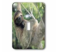 3dRose lsp_87218_1 Threetoed Sloth Wildlife, Corcovado Np, Costa Rica Sa22 Ksc0137 Kevin Schafer interruptor de palanca individual