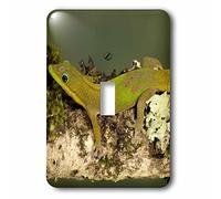 3dRose lsp_94192_1 Gold Dust Day Gecko Lizard, Madagascar-Us39 Jmc0025-Joe and Mary Ann McDonald Interruptor de palanca monomando Multicolor