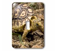 3dRose LSP 94197 _ 1 leopardo tortuga, Kenya US39 jmc0032 Joe y Mary Ann McDonald 's luz tapa del interruptor