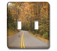 3dRose lsp_94336_2 North Carolina, Great Smoky Mountain, Autumn Road US43 JWL0053 Joanne Wells Interruptor de doble palanca