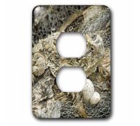 3dRose lsp_94394_6 Usa, Texas, Rio Grande Valley Horned Lizard Us44 Bja0134 Jaynes Gallery cubierta para interruptor de luz