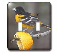 3dRose lsp_94471_2 en South Padre Island, Texas, Baltimore Oriole bird-US44 LDI0230-Larry Ditto" Interruptor de doble palanca, multicolor