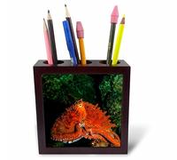 3dRose ph_226709_1 - Soporte para bolígrafos de azulejos (5 pulgadas, portrait Off Vancouver Island/B.C./Canada)