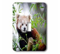 3dRose Red Asia Panda Bear in The Free Nature Wildlife Interruptor de Palanca único, Multicolor