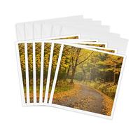 3dRose Tarjetas de felicitación - Estados Unidos, New Hampshire, White Mountains, Fall color on Jefferson Notch Rd. - 6 por 6 pulgadas, juego de 6 (gc_314932_1)