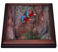 3dRose trv_278160_1 - Salvamanteles con Azulejos, cerámica, Color marrón