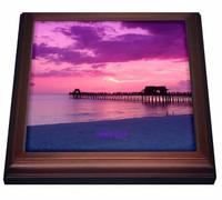 3dRose trv_305831_1 - Salvamanteles con Azulejos, cerámica, Color marrón