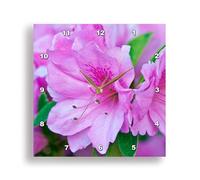 3dRose USA, Ga, Pine Mountain, Callaway Gardens, Azalea Flower Reloj de Pared, Aluminio, Multicolor, 10 x 10 Pulgadas