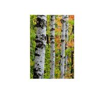 3dRose USA, Michigan/Birch Trunk and Maple Leaves Toalla, Blanco, 15 x 22 Pulgadas