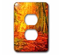 3dRose Vibrant Hues of Autumn Leaves in a Fall Themed Painting 2 Tapas de Enchufe, Multicolor