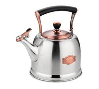 3L Hervidor de agua de acero inoxidable para camping, té en tetera con asa, placa de inducción y estufa de gas, cocina silbante