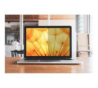 3M Bright - Filtro de privacidad de Pantalla para Apple MacBook Pro 16 2019, 16:10, BPNAP004