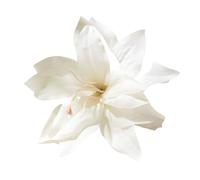 3pcs Fashion Elegance Lily Flower Hair Clip Girls Women Summer Beach Vacation Barrettes Multicolor Hairpin(White)