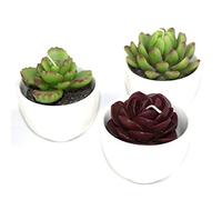 3pcs gran maceta Cactus velas