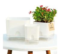3PCS Self Watering Plant Pots Indoor - Built-In Reservoir, Transparent Base Allows for Easy Observation, Breathable, Weather-Resistant Plastic Material, Suitable for Windowsills, Balconies