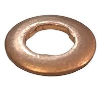 3RG INDUSTRIAL - Arandela Inyector (Pack 50 Pcs)- OEM 6110170060 - Piezas para Coche Recambios Motor y Otras Partes de Vehículo | Compatible con los Modelos de Coche y Moto indicados más Abajo.