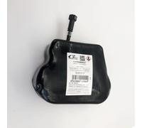 3RG INDUSTRIAL - Bolsa Limpiador Dpf- OEM 9678080680 1500GX 1500PR - Piezas para Coche Recambios Motor y Otras Partes de Vehículo | Compatible con los Modelos de Coche y Moto indicados más Abajo.