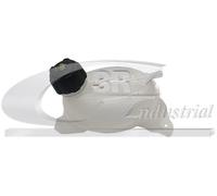 3RG INDUSTRIAL - Botella Expansion- OEM 217104354R 217100680R 217104337R - Piezas para Coche Recambios Motor y Otras Partes de Vehículo.