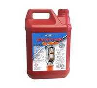 3RG INDUSTRIAL - Concentrado Limpieza Dpf (5L.) - OEM 210024 - Piezas para Coche Recambios Motor y Otras Partes de Vehículo - Compatible con los distintos Modelos de Coche.