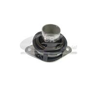 3RG INDUSTRIAL - Guia Embrague Con Rodamiento- OEM 02T141181B 02T141170C 02T141165F 02T141153K - Piezas para Coche Recambios Motor y Otras Partes de Vehículo.