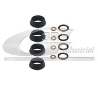 3RG INDUSTRIAL - Kit Inyectores- OEM 55245288 55215424 1982G0 504032163 - Piezas para Coche Recambios Motor y Otras Partes de Vehículo.