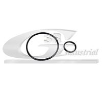 3RG INDUSTRIAL - Kit Juntas Bomba Vacio (2 Pcs) - OEM 459936 - Piezas para Coche Recambios Motor y Otras Partes de Vehículo - Compatible con los distintos Modelos de Coche.