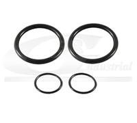 3RG INDUSTRIAL - Kit Juntas Valvula Solenoide - OEM 11367506178 - Piezas para Coche Recambios Motor y Otras Partes de Vehículo - Compatible con los distintos Modelos de Coche.
