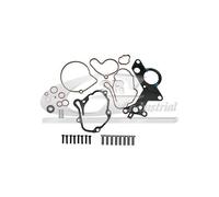 3RG INDUSTRIAL - Kit Reparacion Bomba Vacio- OEM 038145209A 038145209Q 038145209N - Piezas para Coche Recambios Motor y Otras Partes de Vehículo.