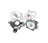 3RG INDUSTRIAL - Kit Reparacion Bomba Vacio- OEM 03G145209D 03G145209C - Piezas para Coche Recambios Motor y Otras Partes de Vehículo.