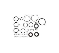 3RG INDUSTRIAL - Kit Reparacion Sistema Common Rail- OEM A6600780080 8200760858 - Piezas para Coche Recambios Motor y Otras Partes de Vehículo.