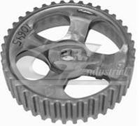 3RG INDUSTRIAL - Piñon Arbol Levas- OEM 7700111951 4409989 - Piezas para Coche Recambios Motor y Otras Partes de Vehículo | Compatible con los Modelos de Coche y Moto indicados más Abajo.