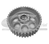3RG INDUSTRIAL - Piñon Arbol Levas- OEM 7700718509 - Piezas para Coche Recambios Motor y Otras Partes de Vehículo | Compatible con los Modelos de Coche y Moto indicados más Abajo.