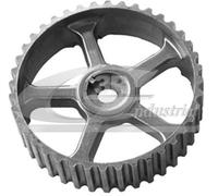 3RG INDUSTRIAL - Piñon Arbol Levas- OEM 7700866844 - Piezas para Coche Recambios Motor y Otras Partes de Vehículo | Compatible con los Modelos de Coche y Moto indicados más Abajo.