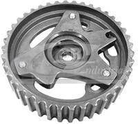 3RG INDUSTRIAL - Piñon Arbol Levas- OEM 7701476570 6070500100 7701478037 7701473179 - Piezas para Coche Recambios Motor y Otras Partes de Vehículo.