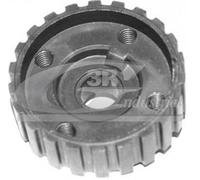 3RG INDUSTRIAL - Piñon Cigueñal- OEM 049105263C - Piezas para Coche Recambios Motor y Otras Partes de Vehículo | Compatible con los Modelos de Coche y Moto indicados más Abajo.