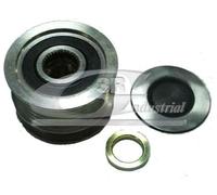 3RG INDUSTRIAL - Polea Alternador- OEM 8200113636 A660C-300BX A660C-300E 7701476465 - Piezas para Coche Recambios Motor y Otras Partes de Vehículo.