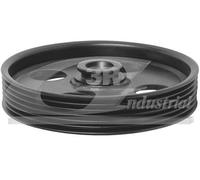 3RG INDUSTRIAL - Polea Bomba Direccion- OEM 9627369380 - Piezas para Coche Recambios Motor y Otras Partes de Vehículo | Compatible con los Modelos de Coche y Moto indicados más Abajo.