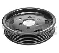 3RG INDUSTRIAL - Polea Ciguenal- OEM 038145255A - Piezas para Coche Recambios Motor y Otras Partes de Vehículo | Compatible con los Modelos de Coche y Moto indicados más Abajo.