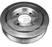 3RG INDUSTRIAL - Polea Ciguenal- OEM 0515S2 515S20 - Piezas para Coche Recambios Motor y Otras Partes de Vehículo | Compatible con los Modelos de Coche y Moto indicados más Abajo.