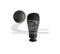 3RG INDUSTRIAL - Pomo Palanca Cambio- OEM 2403FS 1611916980 1609719080 - Piezas para Coche Recambios Motor y Otras Partes de Vehículo.