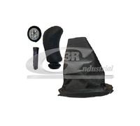 3RG INDUSTRIAL - Pomo Y Fuelle Palanca Cambio- OEM 8200478024 8200379950 - Piezas para Coche Recambios Motor y Otras Partes de Vehículo.