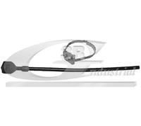 3RG INDUSTRIAL - Recuperador Liquido Amortiguador- OEM 95050399 96127591 - Piezas para Coche Recambios Motor y Otras Partes de Vehículo.