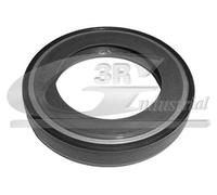 3RG INDUSTRIAL - Reten Diferencial 58 X 40 X 10- OEM 312144 1608816780 236210 312139 226418 312123 312109 - Piezas para Coche Recambios Motor y Otras Partes de Vehículo.