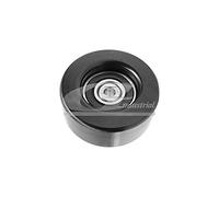 3RG INDUSTRIAL - Rodillo Tensor - OEM 028145278M - Piezas para Coche Recambios Motor y Otras Partes de Vehículo - Compatible con los distintos Modelos de Coche.