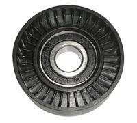 3RG INDUSTRIAL - Rodillo Tensor - OEM 06A903315D - Piezas para Coche Recambios Motor y Otras Partes de Vehículo - Compatible con los distintos Modelos de Coche.