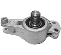 3RG INDUSTRIAL - Rodillo Tensor- OEM 6012001373 - Piezas para Coche Recambios Motor y Otras Partes de Vehículo | Compatible con los Modelos de Coche y Moto indicados más Abajo.