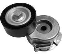 3RG INDUSTRIAL - Rodillo Tensor- OEM 6340554 - Piezas para Coche Recambios Motor y Otras Partes de Vehículo | Compatible con los Modelos de Coche y Moto indicados más Abajo.