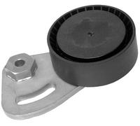 3RG INDUSTRIAL - Rodillo Tensor- OEM 64552245584 PQG100340 - Piezas para Coche Recambios Motor y Otras Partes de Vehículo | Compatible con los Modelos de Coche y Moto indicados más Abajo.